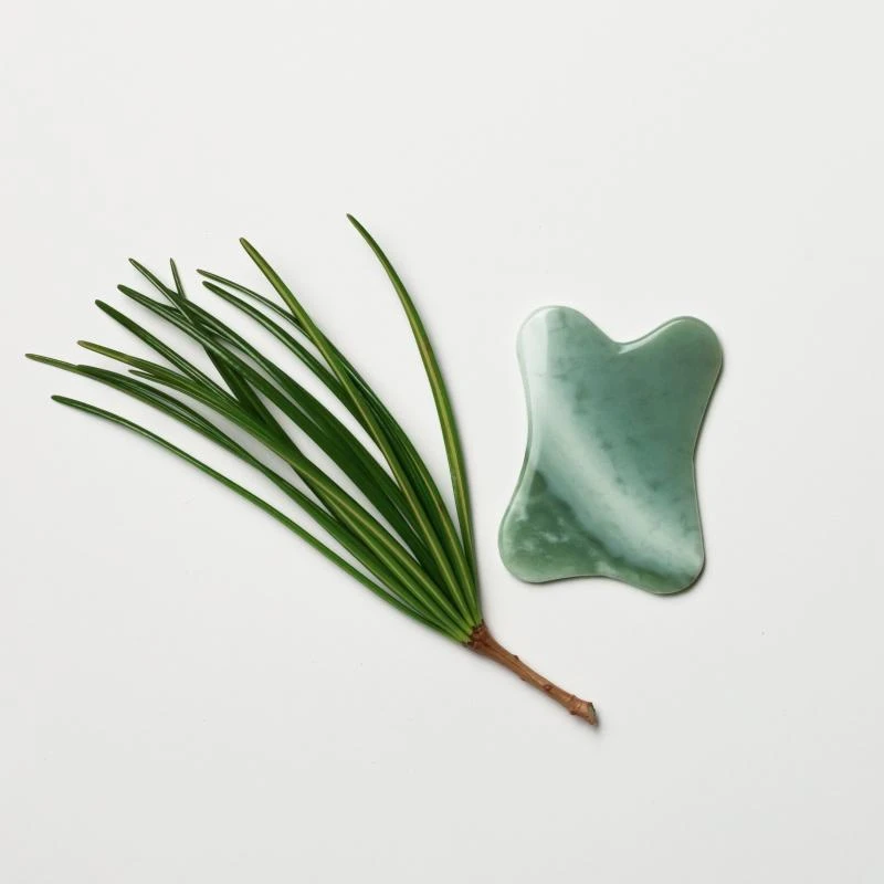 Lanshin Intro Gua Sha Tool - Jade 4 Lanshin Intro Gua Sha Tool - Jade - immagine 2